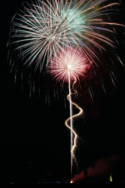 Illustration serpent - Image 1