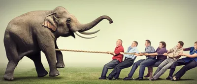 Illustration strongest - Image 1