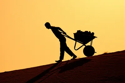 Illustration toil - Image 1