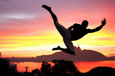 Illustration capoeira - Image 1