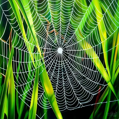 Illustration naturalistic