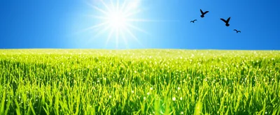 Illustration daylight