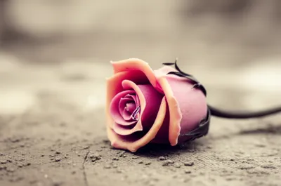 Illustration worst - Image 1