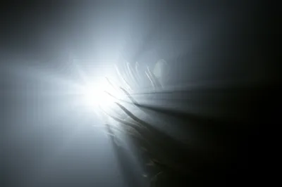 Illustration show - Image 1