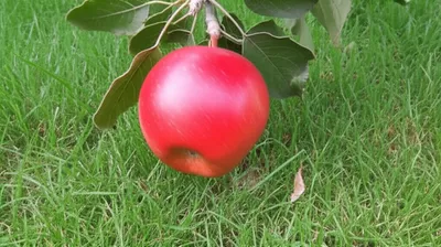 Illustration terminations - Image 1