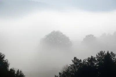 Illustration misty - Image 1