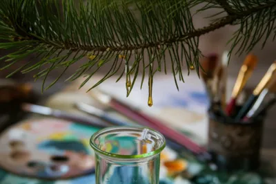 Illustration turpentine