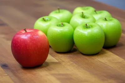 Illustration of - Image 1