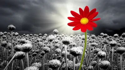 Illustration relieved - Image 1