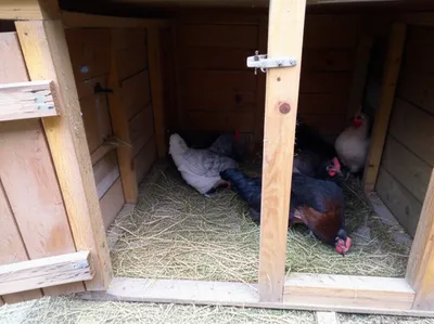 Illustration crib - Image 1