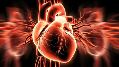 Illustration panted - Image 1