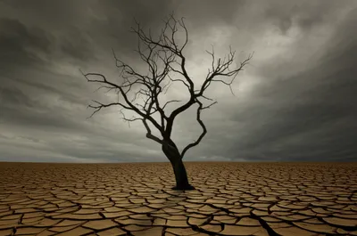 Illustration desperation - Image 1