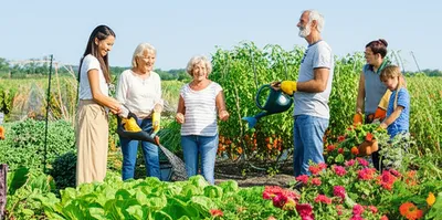 Illustration wholesome - Image 1