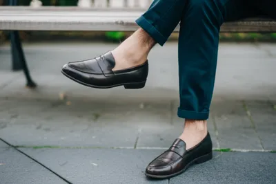 Illustration liner - Image 1