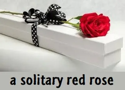 Illustration solitary - Image 3