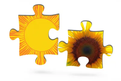 Illustration composition - Image 1