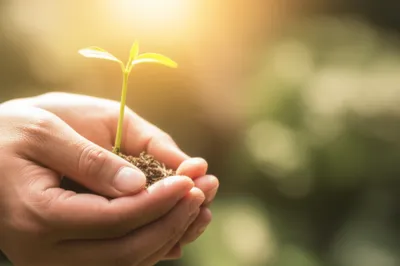 Illustration tendering - Image 1