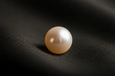 Illustration nonpareil