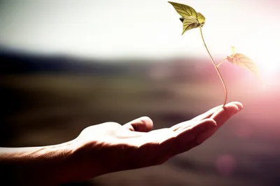 Illustration upholding - Image 1