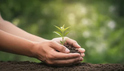 Illustration hands - Image 1