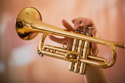 Illustration cornets - Image 1