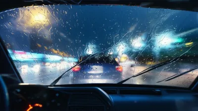 Illustration pelted - Image 1