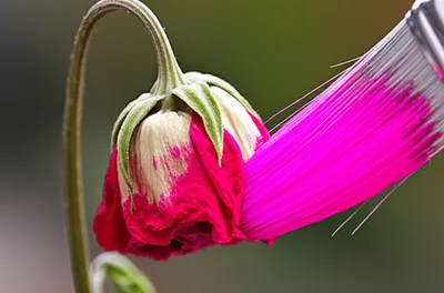 Illustration falsifying - Image 1