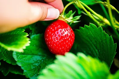 Illustration picked - Image 1