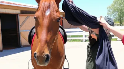 Illustration blinder - Image 1