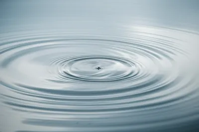 Illustration purled - Image 1