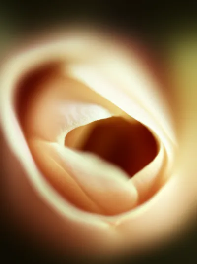 Illustration spreading - Image 1