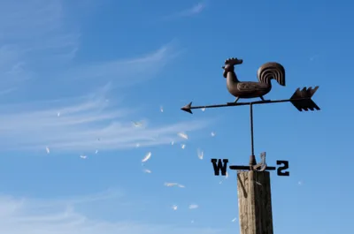 Illustration lightest - Image 1