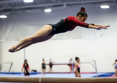 Illustration pikes - Image 1