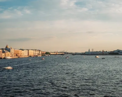 Illustration embarked - Image 2