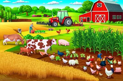 Illustration agriculture
