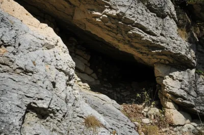 Visuelle Darstellung für das Wort „den" - Höhle, Versteck