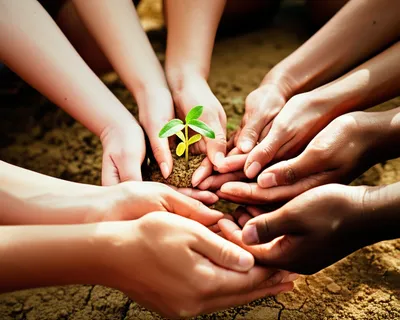 Illustration humanitarian - Image 1