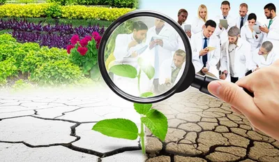 Illustration tests - Image 1