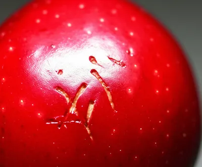 Illustration picked - Image 1