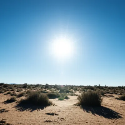 Illustration meridian - Image 1