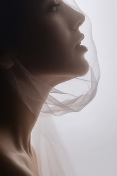 Illustration velar - Image 1