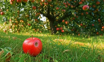 Illustration grounders - Image 1