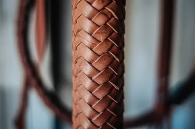 Illustration thong - Image 1