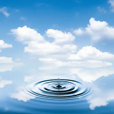 Illustration footprint - Image 1