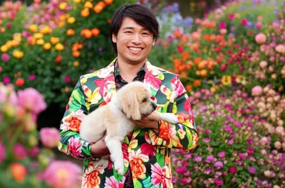 Illustration nancy - Image 1