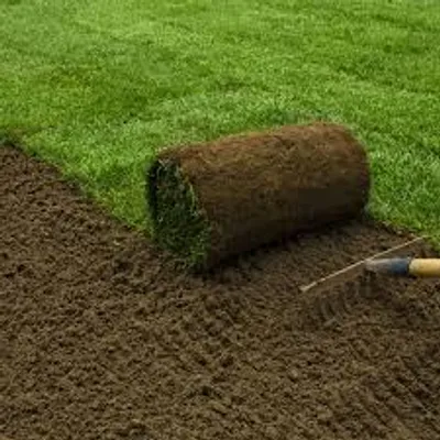 Illustration turf - Image 2