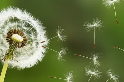 Illustration breathe - Image 1