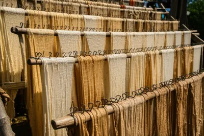 Illustration tenter - Image 1