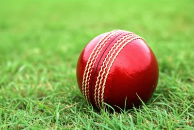 Illustration rock - Image 1