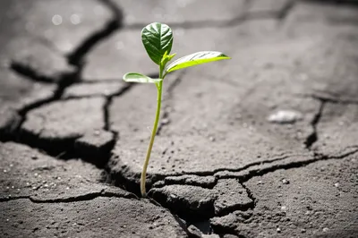 Illustration stronger - Image 1